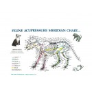 Feline Acupressure Meridian Chart (BC137)