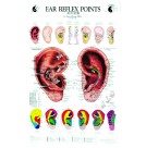 Ear Reflex Chart by Terry Oleson (BC105)
