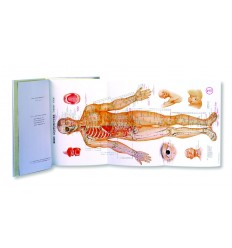 Acupuncture Book Charts (BC102)