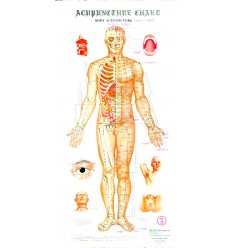 Acupuncture Wall Chart Set (BC101)