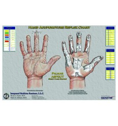 Hand Therapy Charts (BC112 )