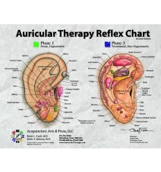 Auricular Therapy Reflex Desk Reference Card (BC113)