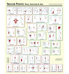 Trigger Point Charts (BC120)