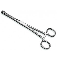 Forceps Sponge 18cm  (GS410)