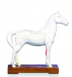 Horse Acupuncture Model on Wooden Stand (HM30)