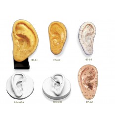 Ear Models
