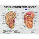 Auricular Therapy Reflex Desk Reference Card (BC113)