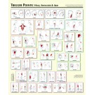 Trigger Point Charts (BC120)