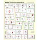 Trigger Point Charts (BC120)