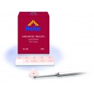 Magnetic Gold-Plated Ear Pellets (ES05)