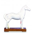 Horse Acupuncture Model on Wooden Stand (HM30)