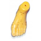 Foot Model (HS75)