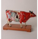 Cow Acupuncture Model on Wooden Stand (HM32)